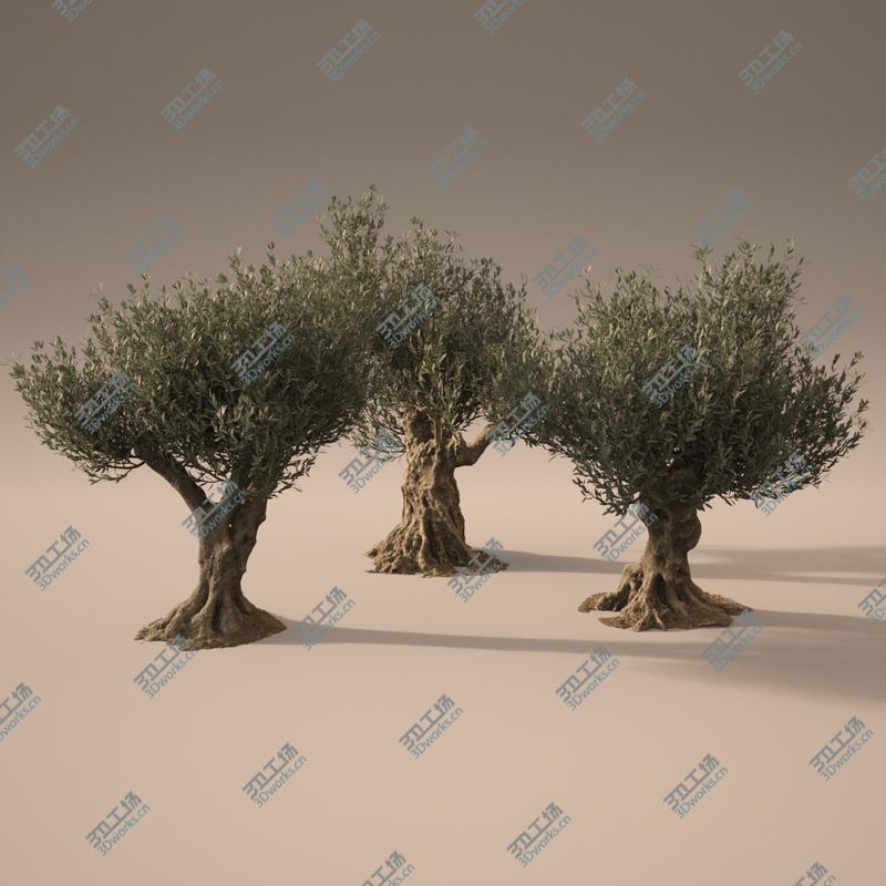 images/goods_img/20210313/3D Animated Photorealistic Olive Trees model/2.jpg